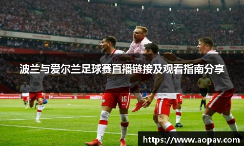 波兰与爱尔兰足球赛直播链接及观看指南分享